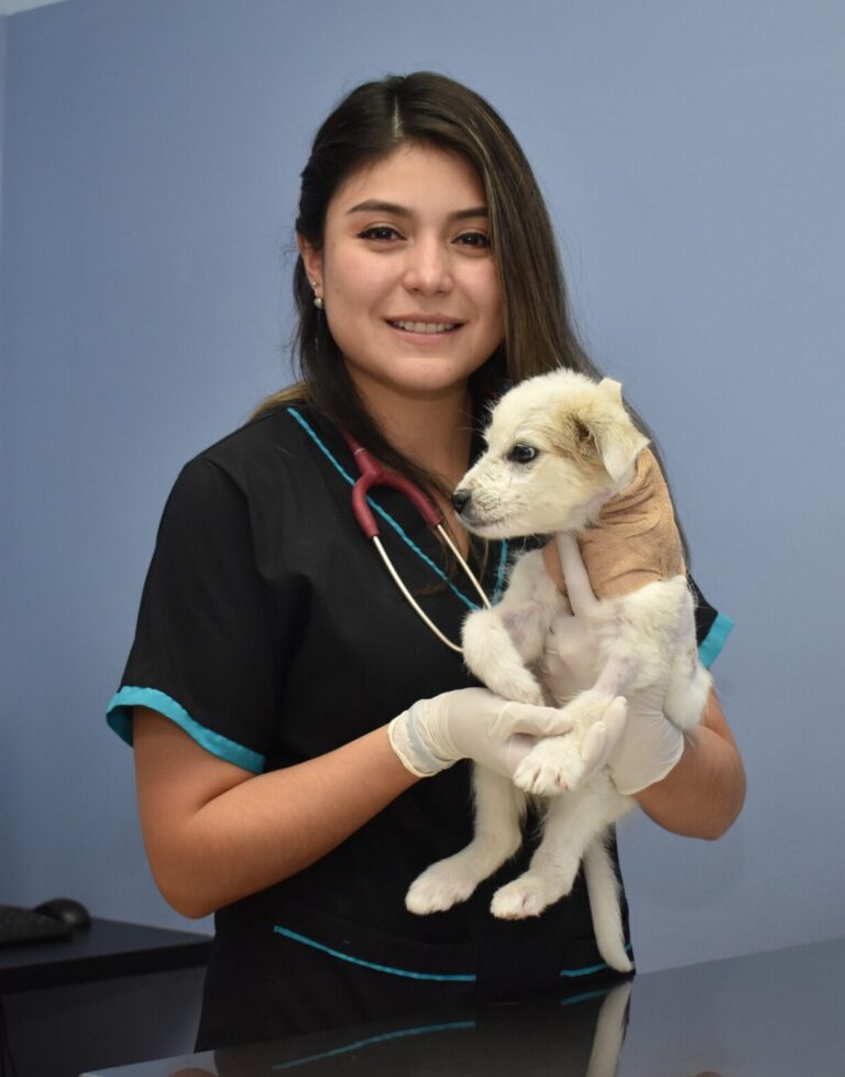 alt="Veterinary Quito"